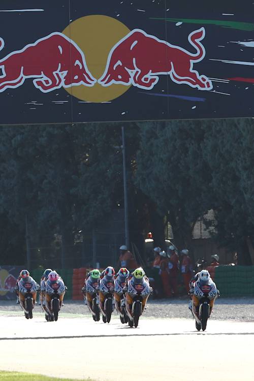 Red Bull Rookies Cup 2023 - Race 13 - MISANO