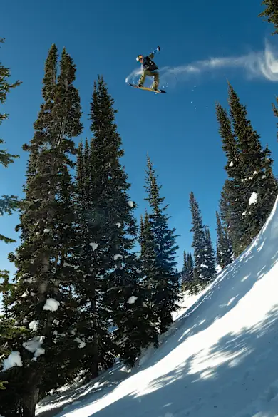 Carousel Slide Image of Natural Selection Revelstoke