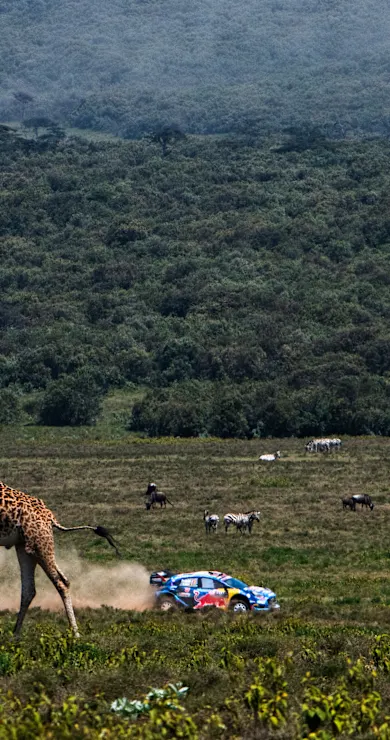 Carousel Slide Image of Highlights vom Samstag - Rallye Kenia