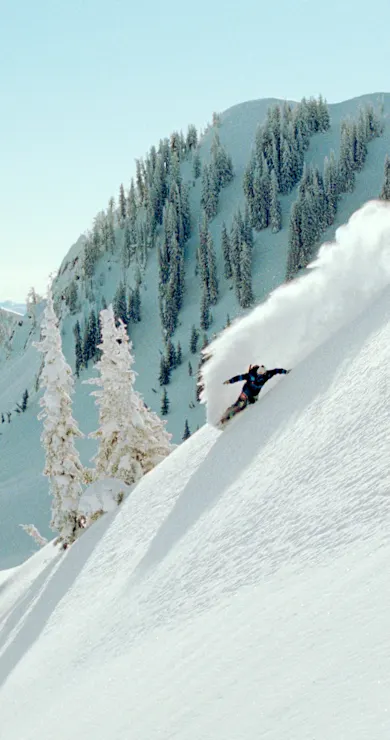 Carousel Slide Image of The Art of Flight watch party