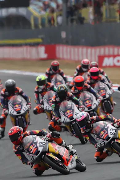Carousel Slide Image of Red Bull MotoGP™ Rookies Cup Assen: Race 8