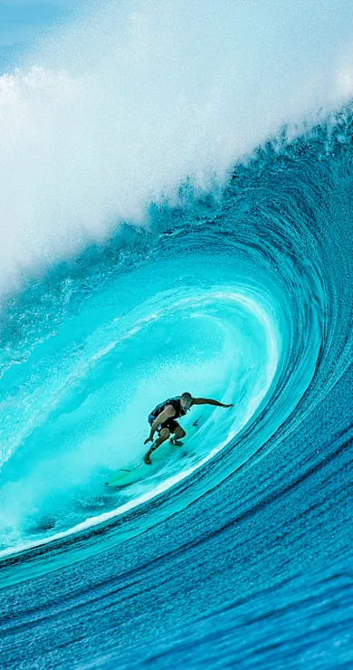 Carousel Slide Image of No Contest: Off Tour