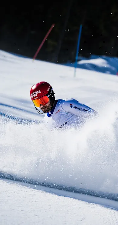 Carousel Slide Image of Bending Gates