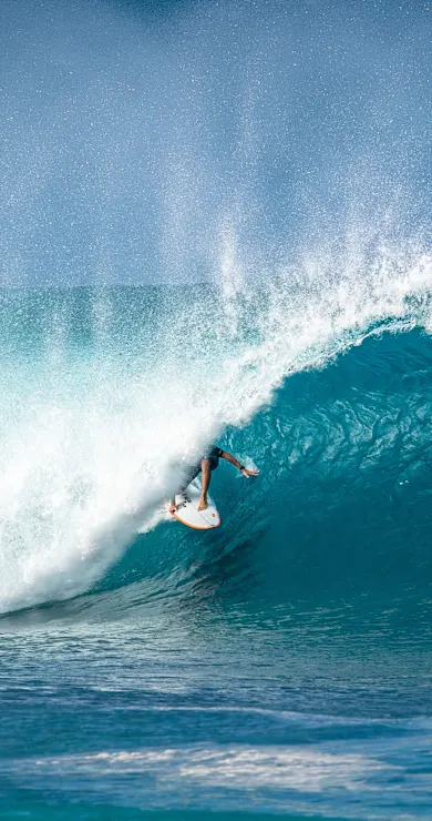 Carousel Slide Image of All In