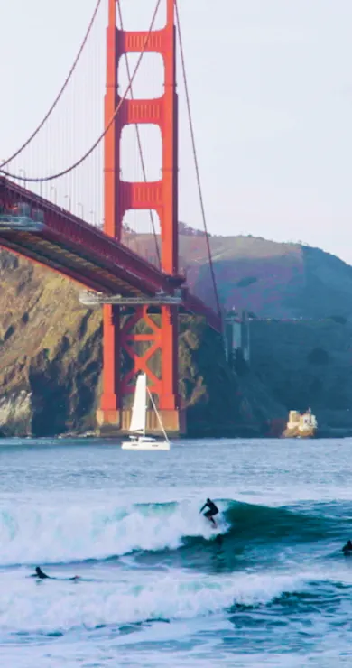 Carousel Slide Image of In Plain Sight