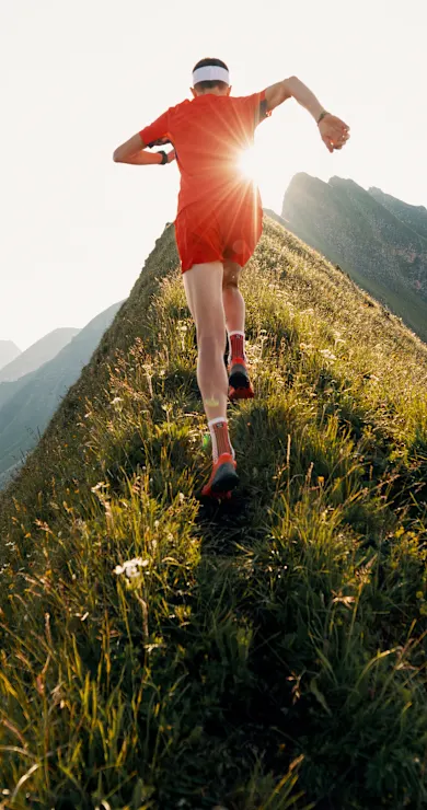 Carousel Slide Image of World of Red Bull