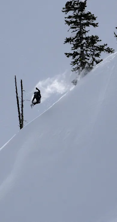 Carousel Slide Image of Найцікавіші моменти Natural Selection Tour