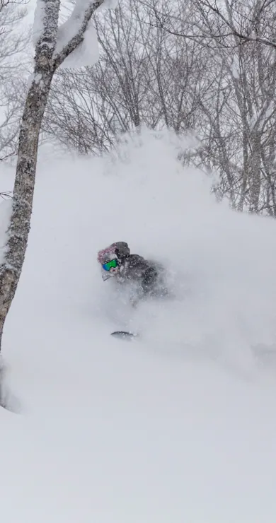 Carousel Slide Image of Best of the action