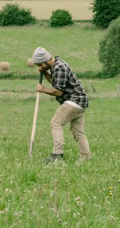 Carousel Slide Image of In the Woods 2