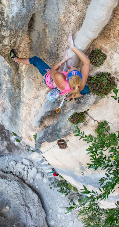 Carousel Slide Image of Conquering Zahir Plus