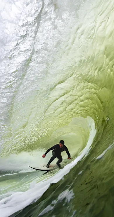 Carousel Slide Image of Hounds of the storm