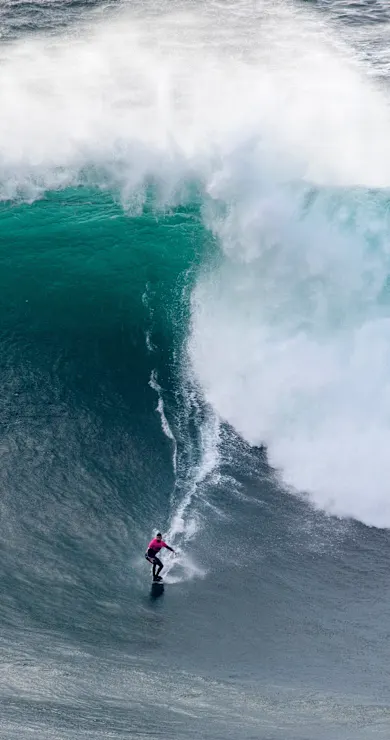 Carousel Slide Image of Highlights